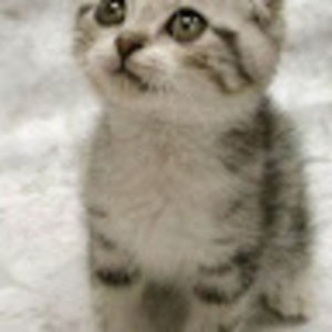 Meet your Posher, Juan